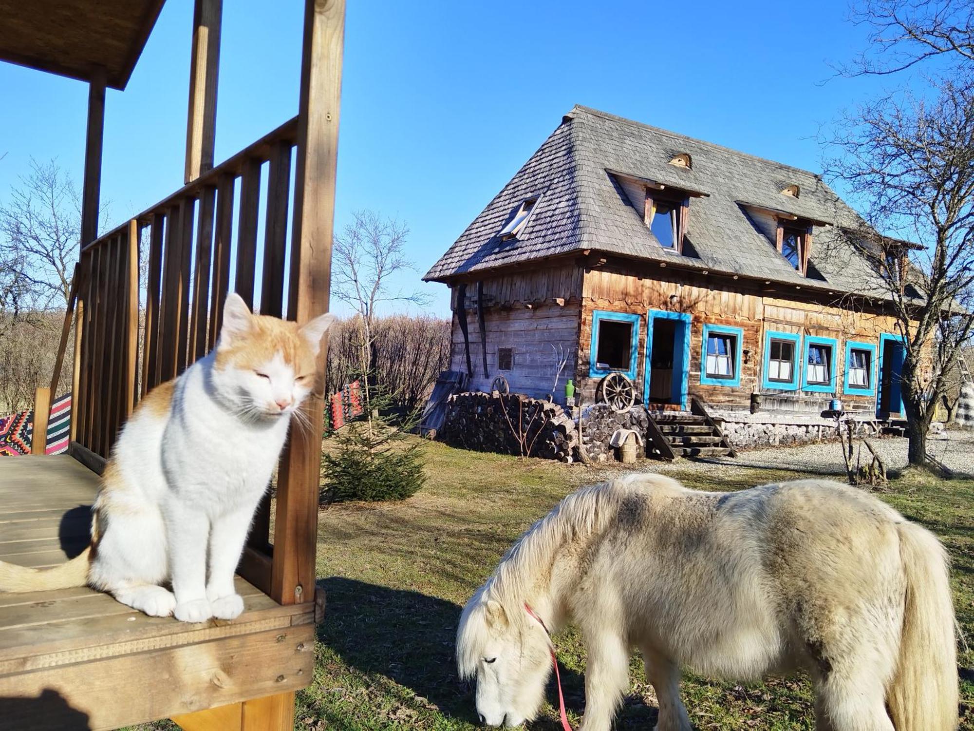 Small Apartment In Breb S Cosy Barn Стая снимка